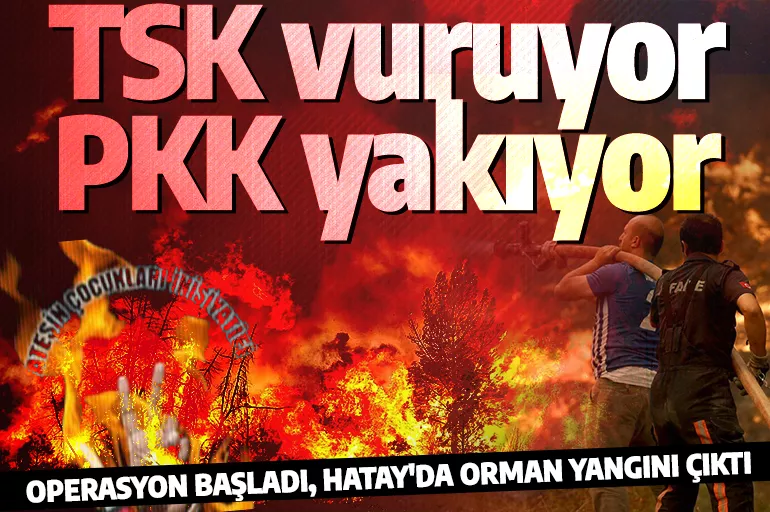 TSK Kuzey Irak'ta PKK'ya ağır darbe vurdu! Teröristler Hatay'da orman yangını çıkardı