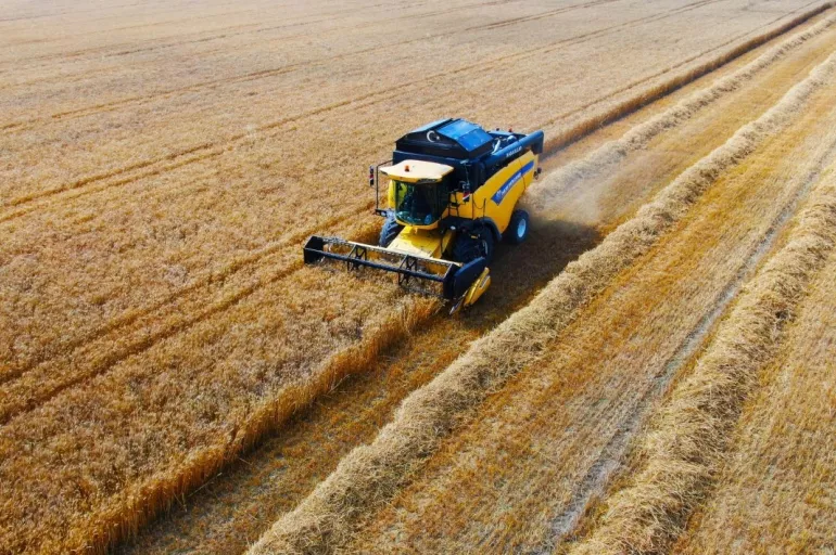 Adana'da buğday hasadı başladı! Çiftçilerin yüzü gülecek