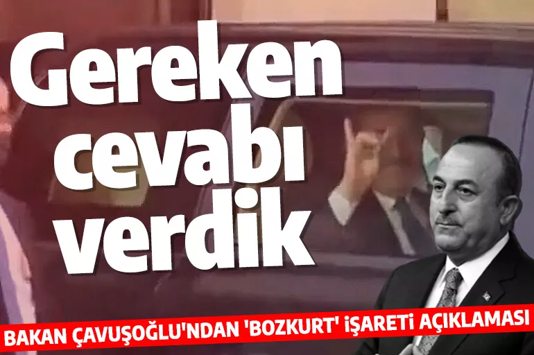 Bakan Çavuşoğlu'ndan 'Bozkurt' işareti açıklaması: Gereken cevabımızı verdik