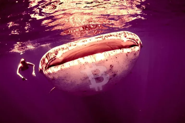 Bitcoin ve Altcoin’leri etkileyen kripto balinaları kim? Bitcoin balinaları önemi ne?