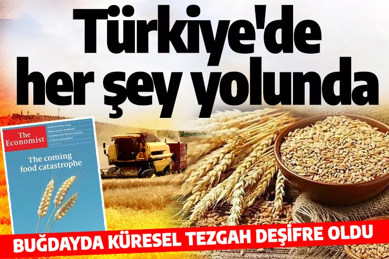 Buğdayda küresel oyun deşifre oldu! Türkiye’de sorun yok