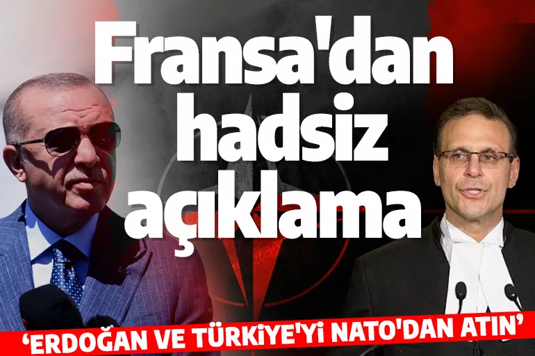 Fransız Senatör Housakos'ten hadsiz açıklama: Türkiye'yi NATO'dan atın