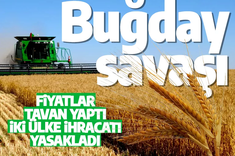 Rusya buğday savaşının fitilini ateşledi! Küresel açlık krizi kapıda