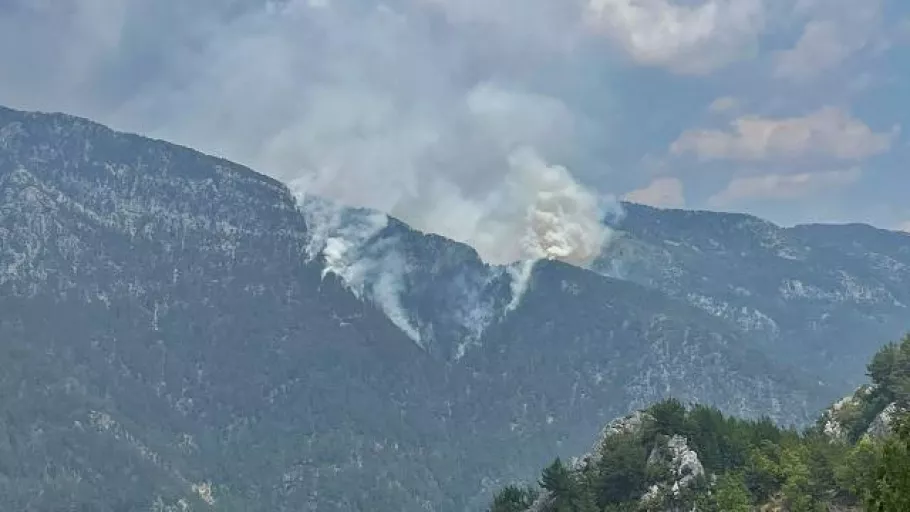 Son dakika: Antalya'da orman yangını çıktı!