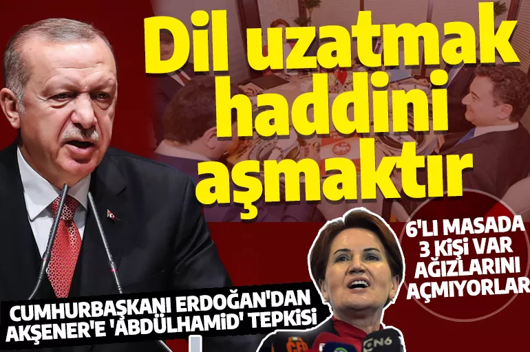 Son dakika! Cumhurbaşkanı Erdoğan'dan Akşener'e 'Abdülhamid' tepkisi: Haddini aşmaktır