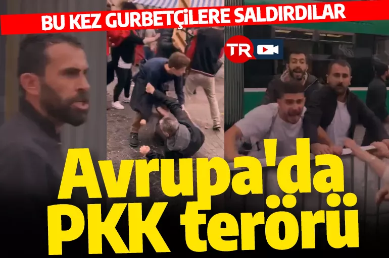 PKK yandaşları Basel’deki 23 Nisan etkinliğinde gurbetçi vatandaşlara saldırdı