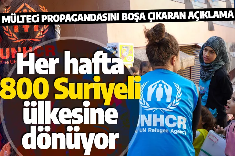 BM Türkiye Temsilcisi rakamı verdi! 'Her hafta 800 Suriyeli ülkesine dönüyor'