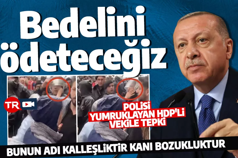 Cumhurbaşkanı Erdoğan'dan polisi yumruklayan HDP'li vekile tepki: Bu alçaklığın bedelini ödeteceğiz