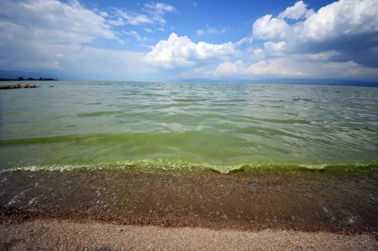 İznik Gölü yemyeşil oldu! Yüzmek yasaklandı