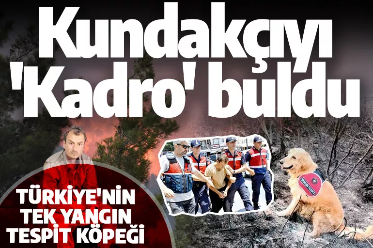 Marmaris'i yakan kundakçıyı 'Kadro' buldu! İşte Türkiye'nin tek yangın tespit köpeği