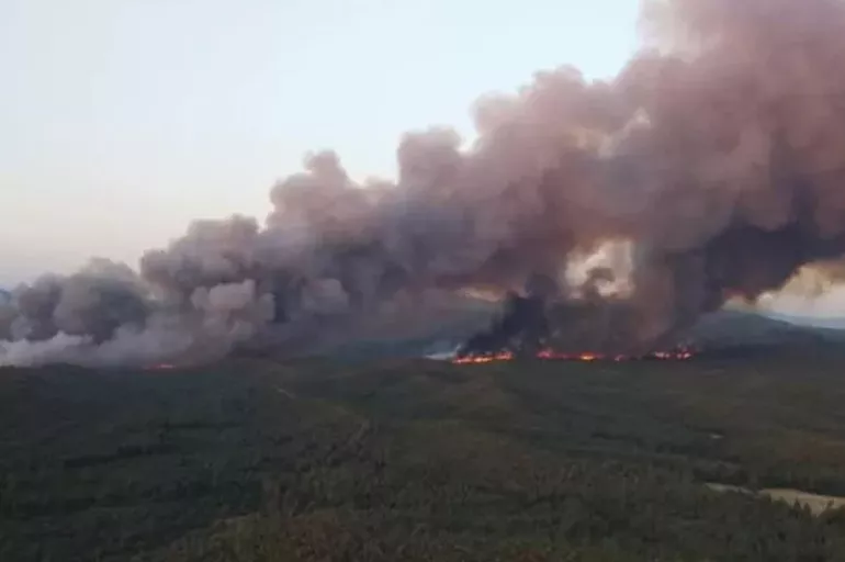 Marmaris’te orman yangını! Ekipler müdahale ediyor