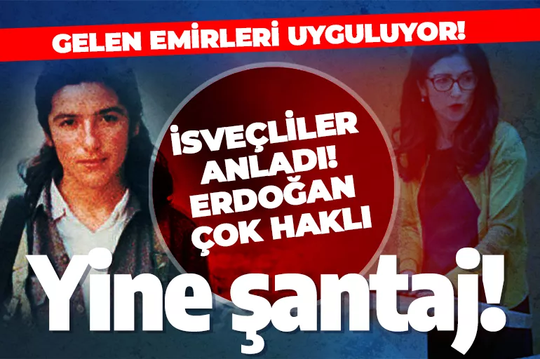 PKK destekçisi vekil şantajlarına yenisi ekledi! İsveçliler tepkili: Erdoğan çok haklı