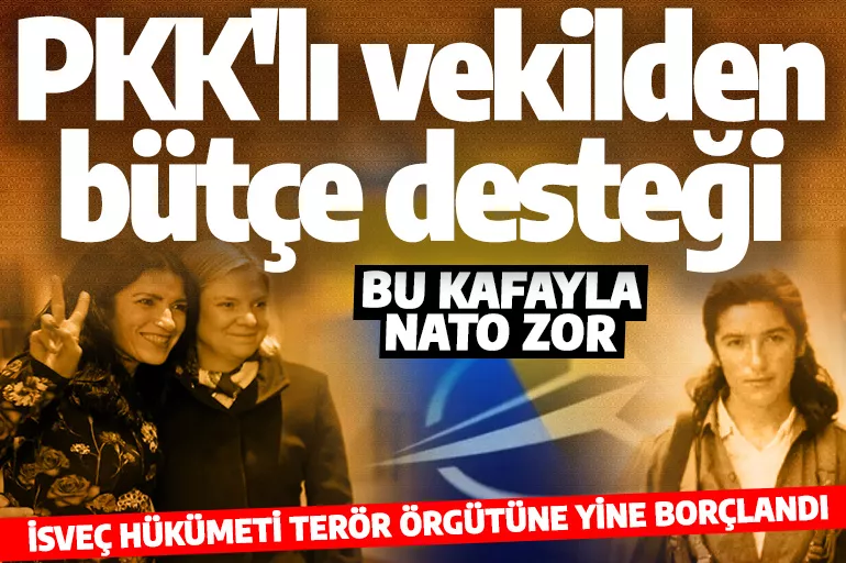PKK'lı vekilden bütçe desteği! İsveç hükümeti terör örgütüne yine borçlandı