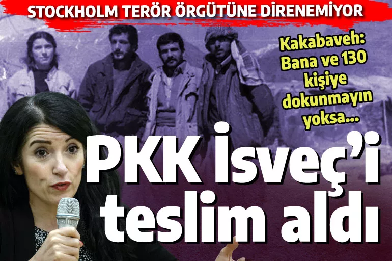 PKK'nın İskandinavya'da ülkesi var! Kandil ne isterse onu yapıyorlar