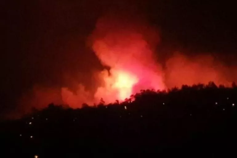 Aydın'da korkutan orman yangını! Bu sefer büyümeden kontrol altına alındı