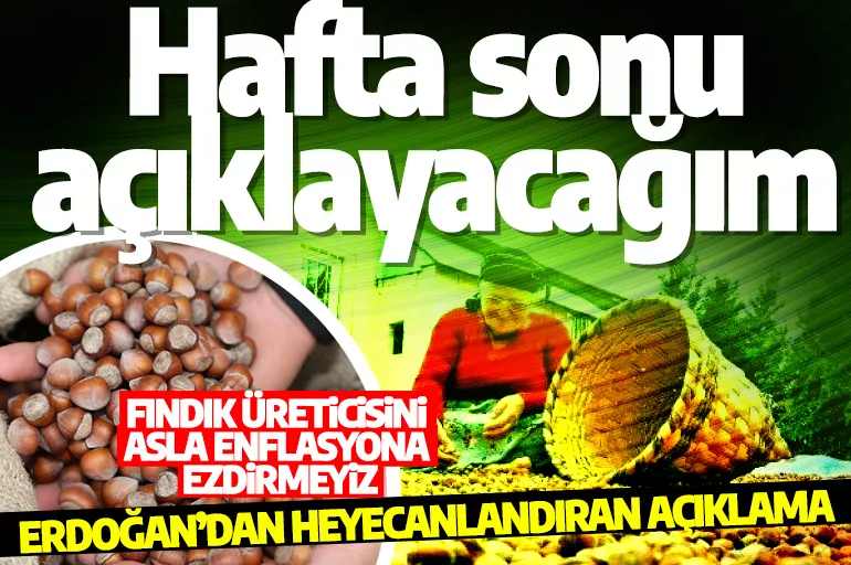 Fındık fiyatları kaç lira olacak? Erdoğan'dan fındık üreticisini heyecanlandıran açıklama: Hafta sonu açıklayacağım