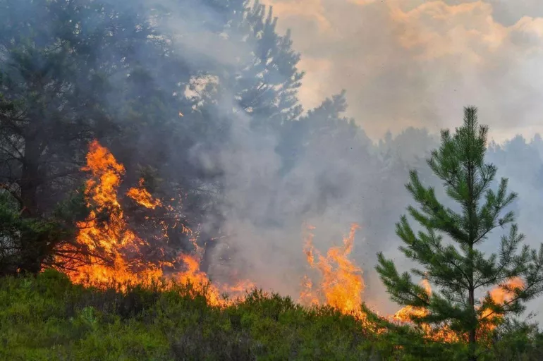 Son dakika: Antalya'da korkutan orman yangını! Ekiplerin müdahalesi sürüyor
