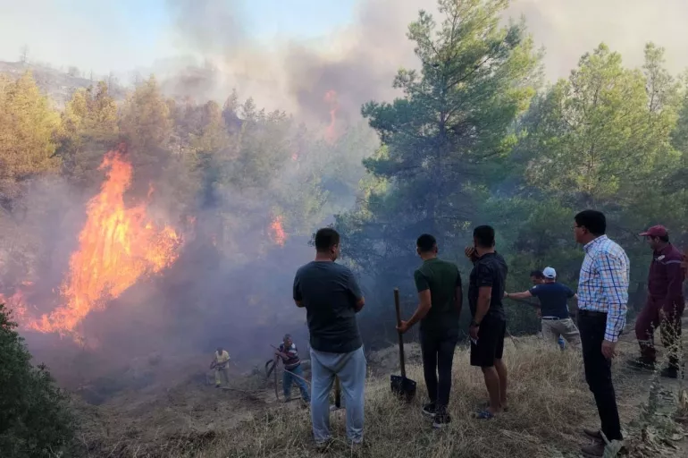 Son dakika: Aydın'da orman yangını! Havadan ve karadan müdahale ediliyor
