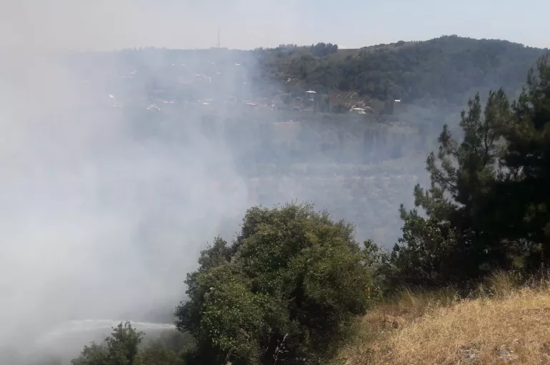 Son dakika: Balıkesir'in ardından Mudanya'da da orman yangını çıktı!