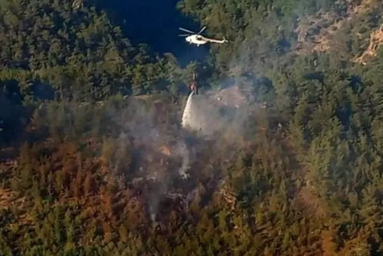 Son dakika! Bergama'daki orman yangını kontrol altına alındı