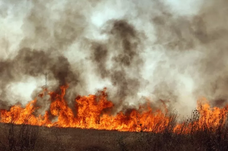 Son dakika: Kırklareli'nde tarla yangını! Bölge kaymakamı olay yerine gitti