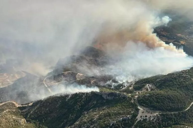 Son dakika: Milas'ta orman yangını kontrol altına alındı!