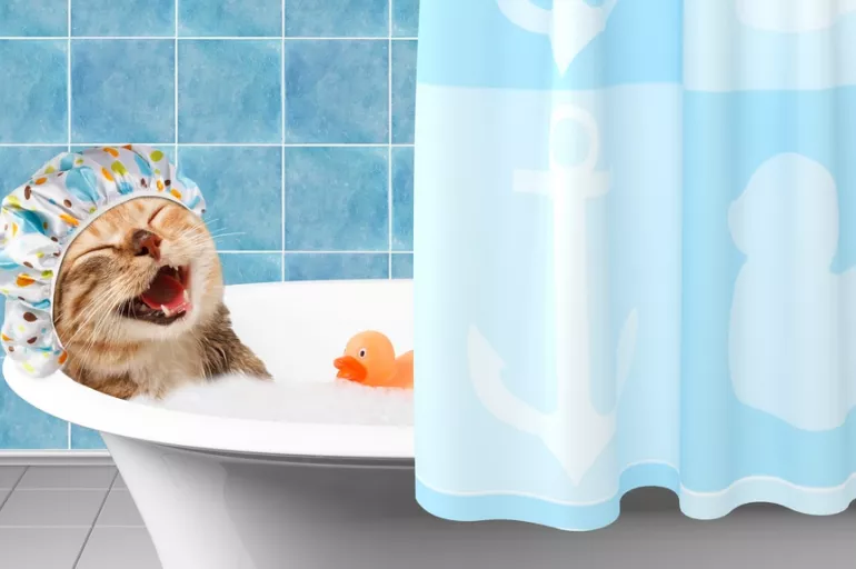 Tarama, yıkama ve tırnak kesimi... Evlerin maskotu olan kedilerin rutin bakımları nasıl yapılır?