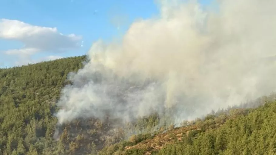 Balıkesir Susurluk'ta orman yangını! Henüz yangının neden çıktığı bilinmiyor