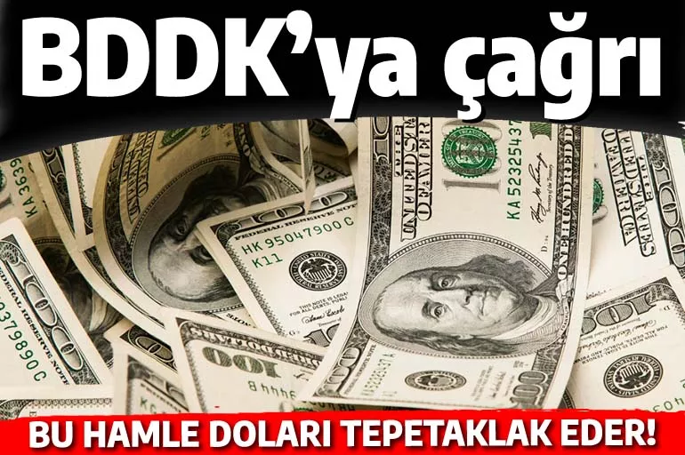 BDDK bu çağrıya uyarsa dolar tepetaklak olur: Ciro sınırını 5 milyona düşürün
