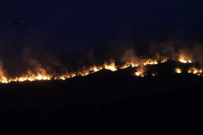 Bulgaristan’daki yangın Edirne'ye dayandı: Sınır köylerinde korku hakim