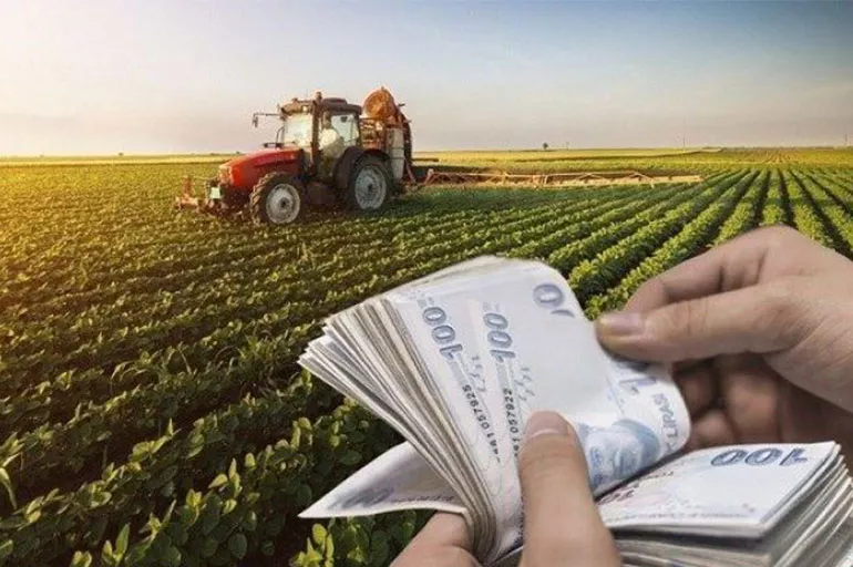 Çiftçilerin beklediği yardım ödemesi başladı! Tarımsal destek ödemesi alanlar hesaplarınızı kontrol edin