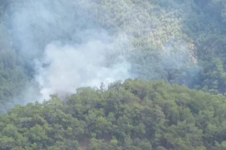 Edremit'te orman yangını! 13 dakikada müdahale edildi