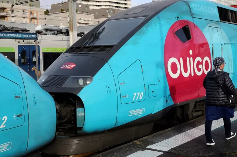 Fransa'da yolcular trenlere binemiyor! Her yeri hamamböcekleri sardı