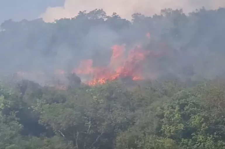 Kocaeli'de orman yangını! Vali Seddar Yavuz açıklama yaptı