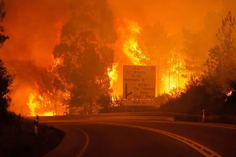 Portekiz'de orman yangınlarına karşı kırmızı alarm! 
