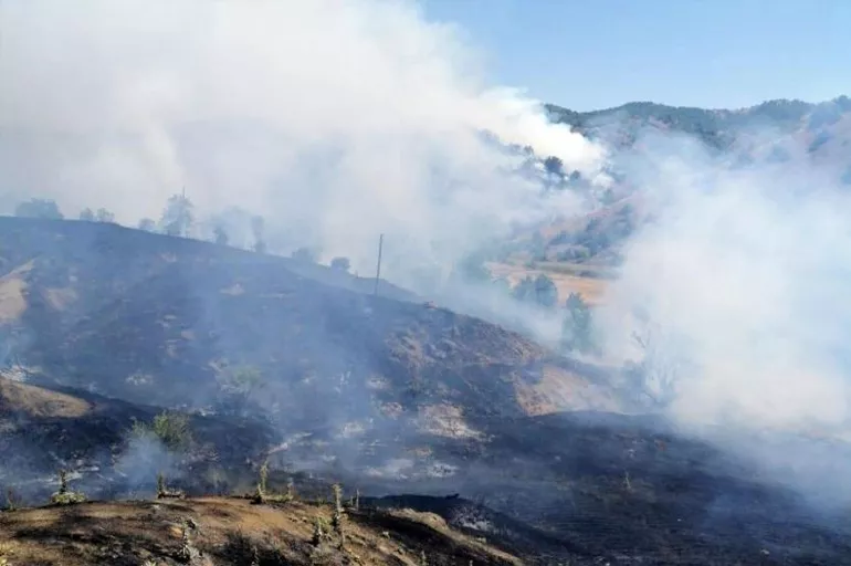 Son dakika: Bingöl'de orman yangınını hızla söndürüldü