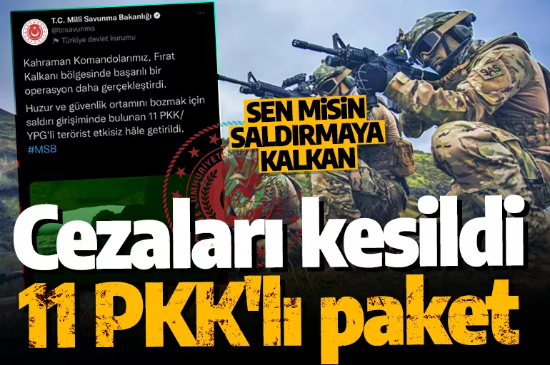 Son dakika: Fırat Kalkanı harekat bölgesinde 11 PKK'lı terörist itlaf edildi