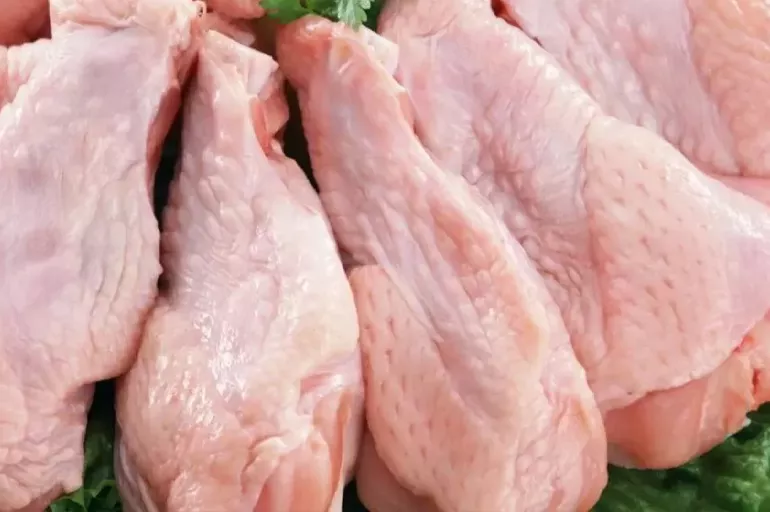 Tavuk üretiminde büyük hamle! Fiyatları yarı yarıya düşürecek formül bulundu