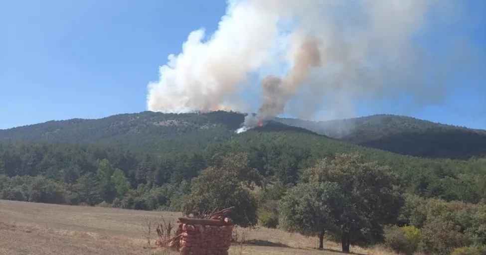 3 ilde korkutan orman yangını! Ekipler havadan ve karadan alevleri söndürme çalışıyor
