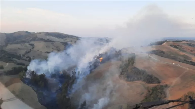 Adana Çukurova'da orman yangını! Havadan ve karadan müdahale ediliyor