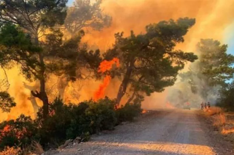 Antalya’daki orman yangınına ilişkin üzücü rapor! 5 dekar alan kül oldu
