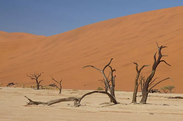 İklim değişikliği Afrika'yı sert vurdu! GSYH'sinin yüzde 5 ila 15'ini kaybediyorlar