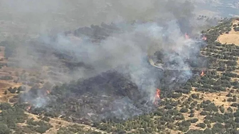 İzmir'de orman yangını! Havadan ve karadan müdahale devam ediyor