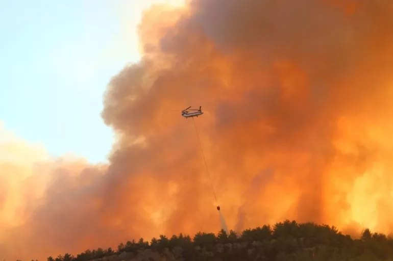 Muğla Ula'da orman yangını: Ekipler, yangına müdahale ediyor