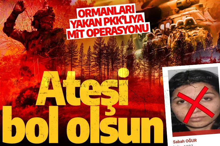 Son dakika: Ormanları yakan PKK'lıya MİT operasyonu! Kırmızı kategorideki terörist yok edildi