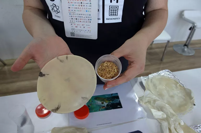 Türkiye'den plastiğe rakip geliyor! Pirinç kabuğundan ürettiler