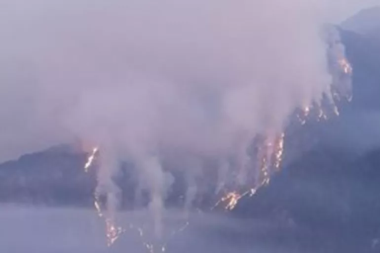 Osmaniye'de orman yangını sürüyor: Karadan müdahale başladı