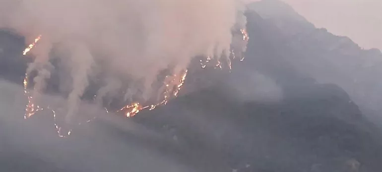 Osmaniye'deki orman yangınında 3'üncü gün! Havadan ve karadan müdahale devam ediyor