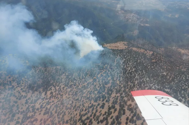 Son dakika: Adana'daki orman yangını kontrol altına alındı