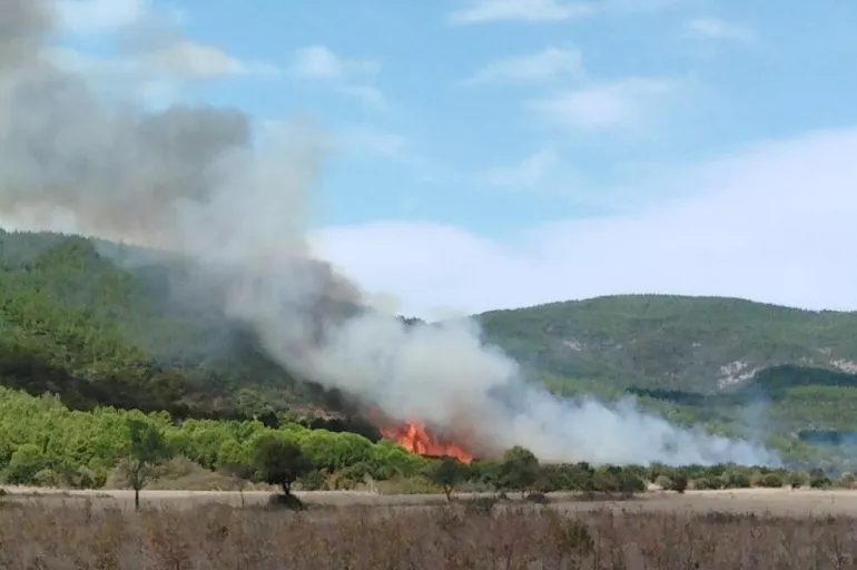 Son dakika: Çanakkale'de orman yangını! Kontrol altına alındı